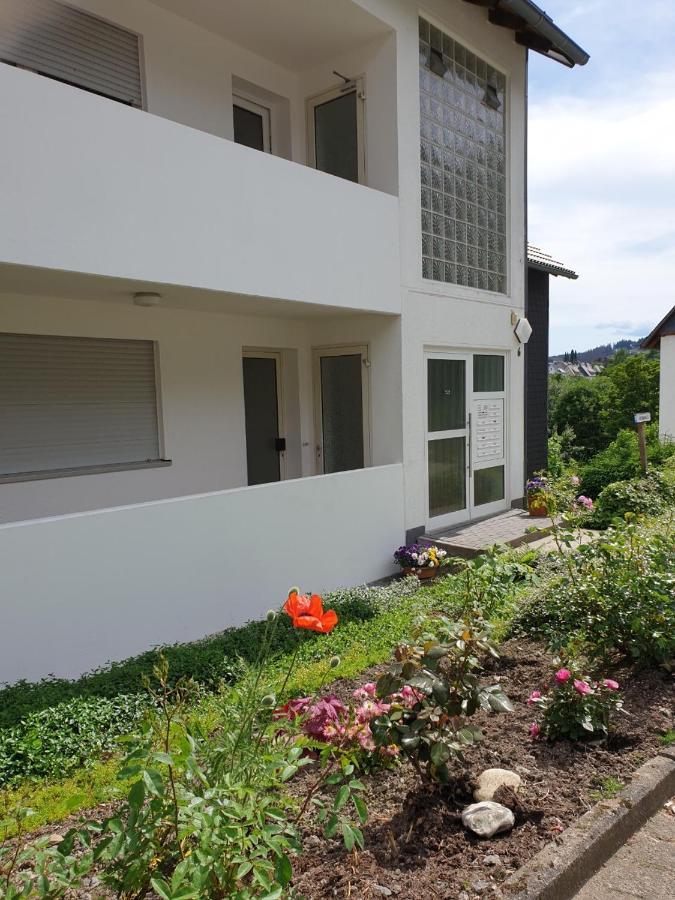 Appartement Guenninghauser Strasse 6 - 4 Winterberg Dış mekan fotoğraf
